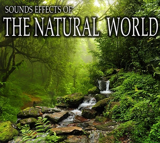100个大自然环境氛围音效 Sound Ideas Sound Effects Of The Natural World