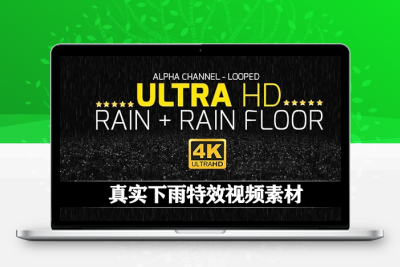 4K视频素材|真实下雨特效循环动画(含雨声和Alpha透明通道) Rain