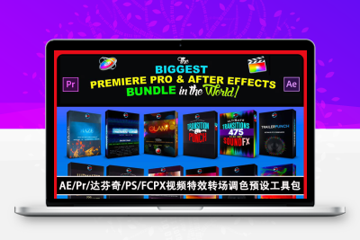 AE/PR超级视频特效调色转场预设素材工具包 CINEPUNCH 22（含视频素材、音效、LUTS调色、转场预设）
