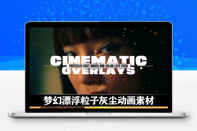 4K视频素材|15个梦幻漂浮粒子灰尘动画素材 Cinamatic Particles Dust Bokeh