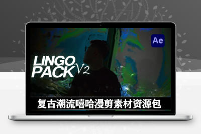 300组复古潮流嘻哈漫剪素材资源包 Payhip – Lingo Pack V2 （标题/预设/模型/纹理/LUT/音效等）